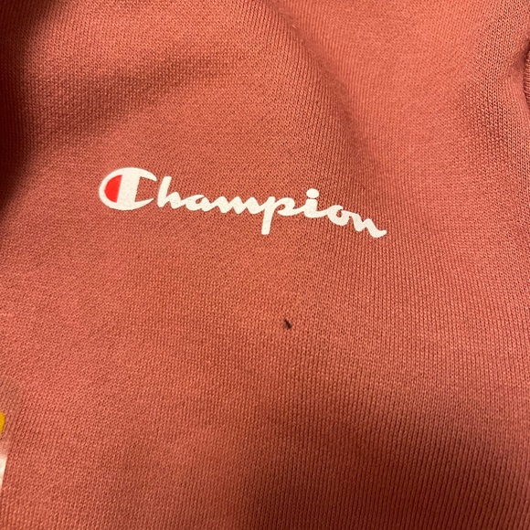 NWT - Cute Champion Sweatshirt w/hood and Kangaroo Pocket - Picture 12 of 13